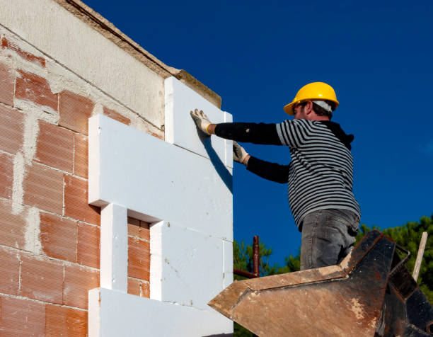Best Insulation Maintenance and Repair in Bull Shoals, AR