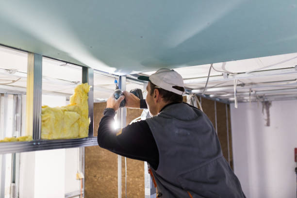 Best Blown-in Insulation in Bull Shoals, AR